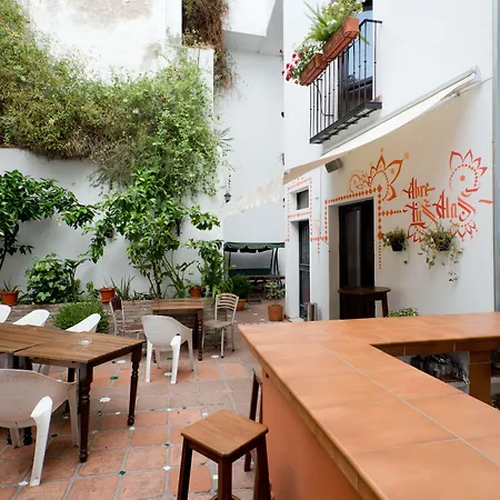 Oasis Backpackers' Granada