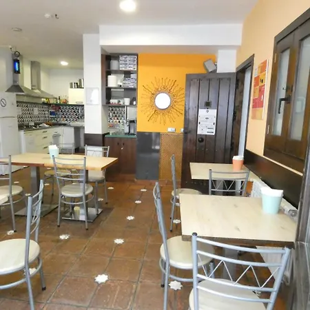 Oasis Backpackers' *