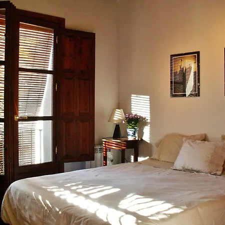 Oasis Backpackers' *