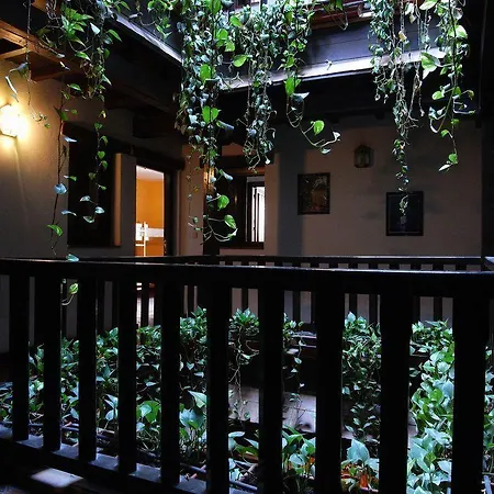 Hostel Oasis Backpackers'