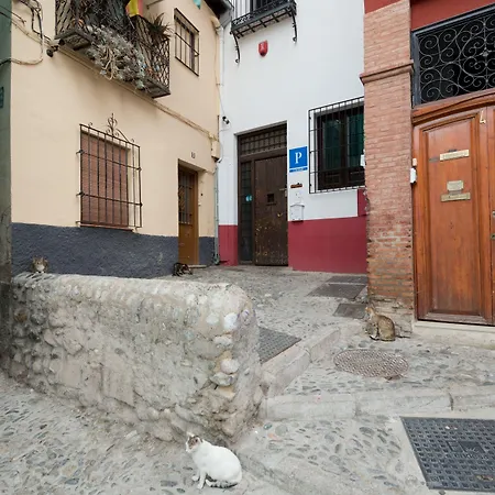 Oasis Backpackers' Hostel Granada