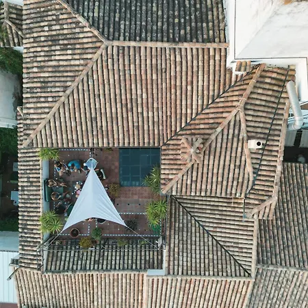 Oasis Backpackers'