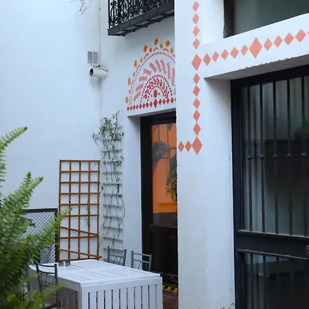 Oasis Backpackers' *