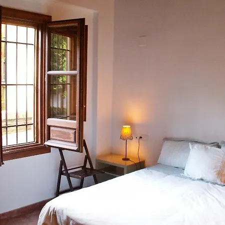Oasis Backpackers' Ostello