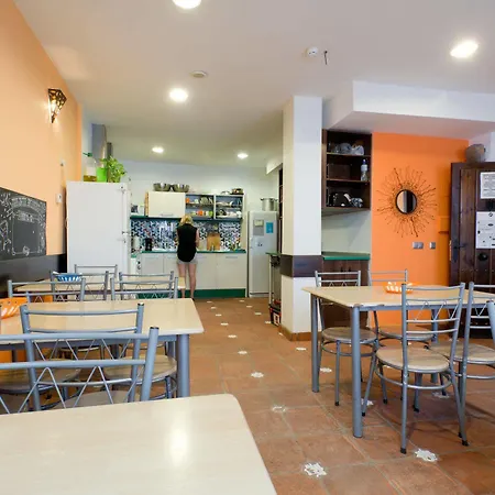 Oasis Backpackers' Hostel *