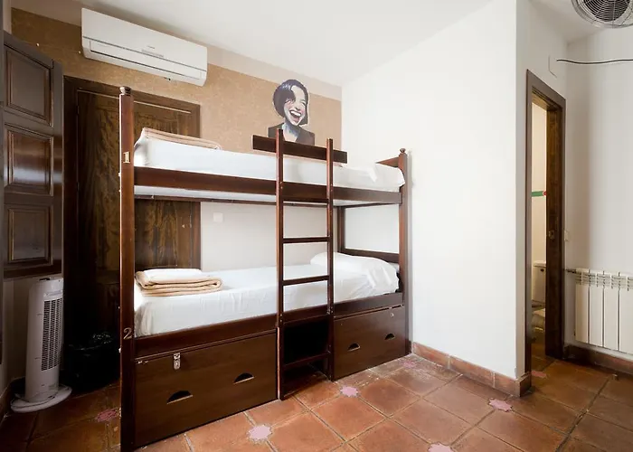 Oasis Backpackers' *