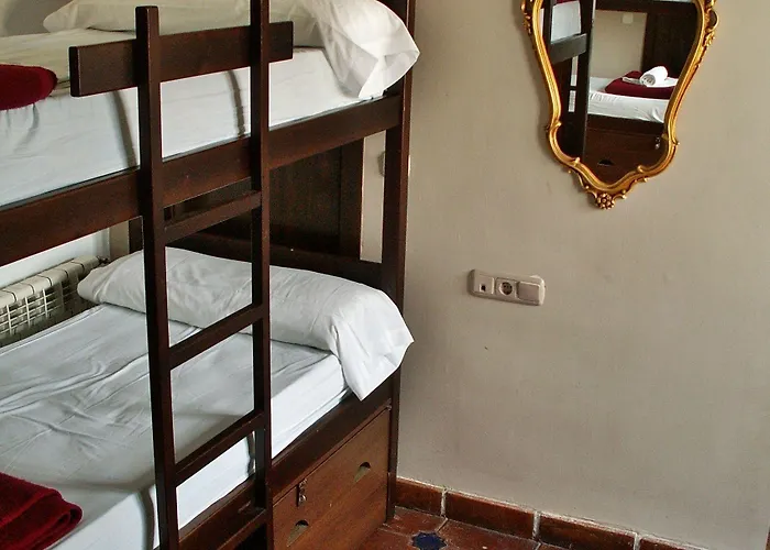 Hostel Oasis Backpackers' *