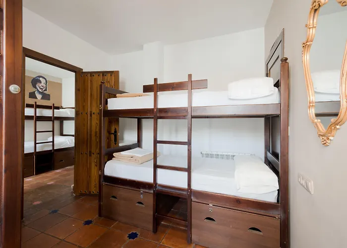 Oasis Backpackers' *