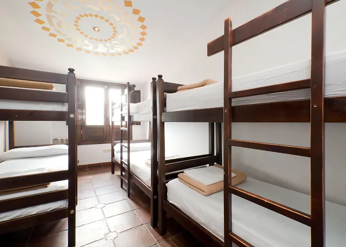 Hostel Oasis Backpackers'