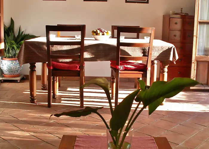 Oasis Backpackers' Hostel