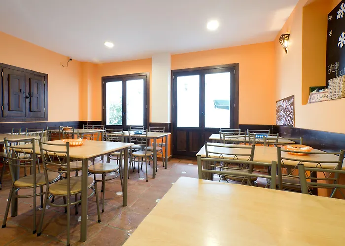 Oasis Backpackers' Hostel