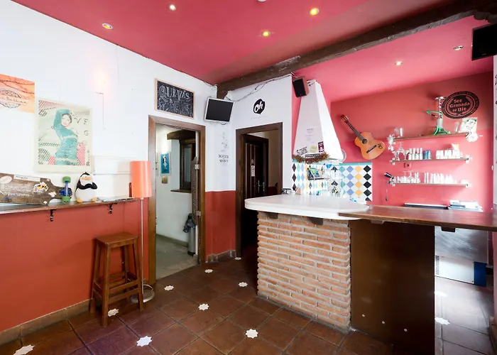 Oasis Backpackers'