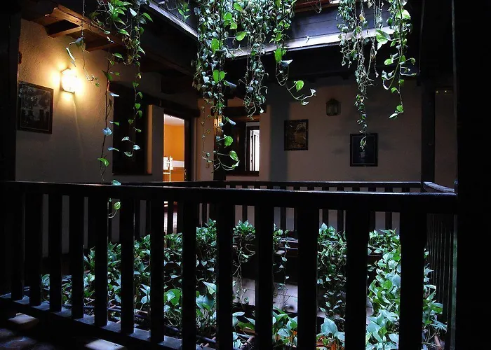 بيت شباب Oasis Backpackers'