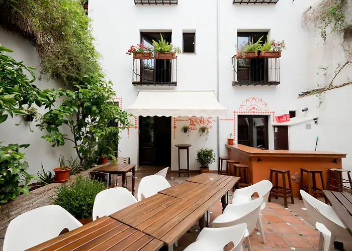 Oasis Backpackers' Hostel