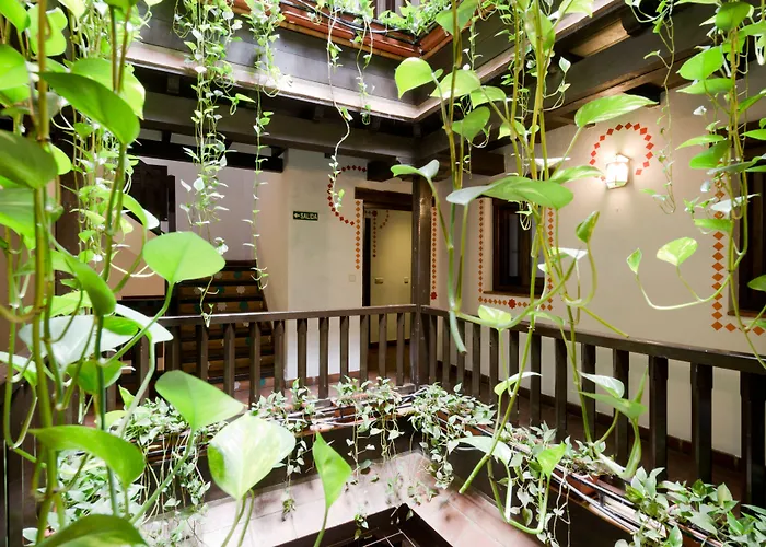 Oasis Backpackers' بيت شباب غرناطة