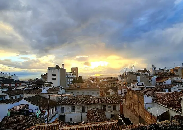 Oasis Backpackers' بيت شباب *