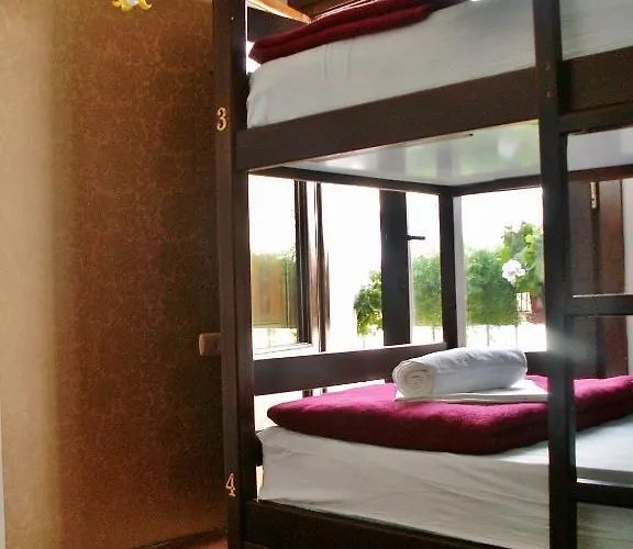 Oasis Backpackers' بيت شباب غرناطة