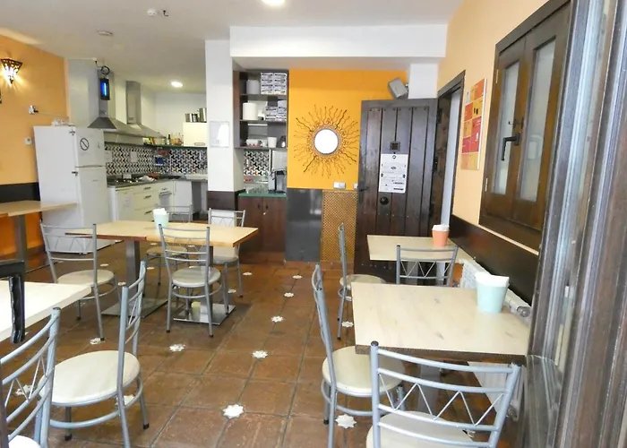 Oasis Backpackers' *