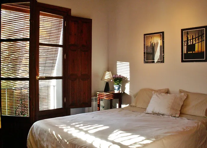 Oasis Backpackers' *