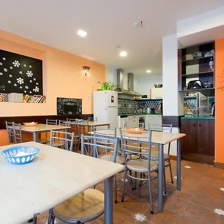Auberge de jeunesse Oasis Backpackers' *