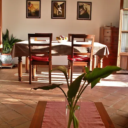 Oasis Backpackers' Ostello