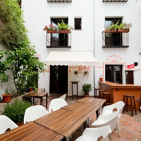 Oasis Backpackers' Hostel