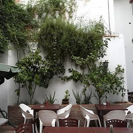 Oasis Backpackers' Ostello