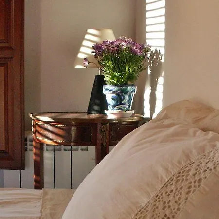 Oasis Backpackers' Auberge de jeunesse