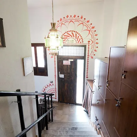 Oasis Backpackers' Auberge de jeunesse