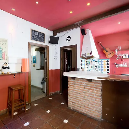 Oasis Backpackers' Auberge de jeunesse