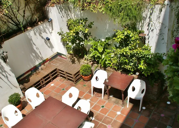 Oasis Backpackers' Hostel Granada