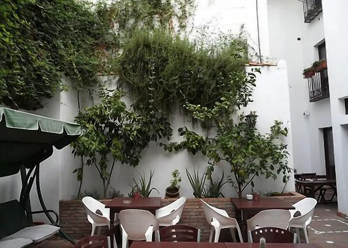 Oasis Backpackers' Hostel
