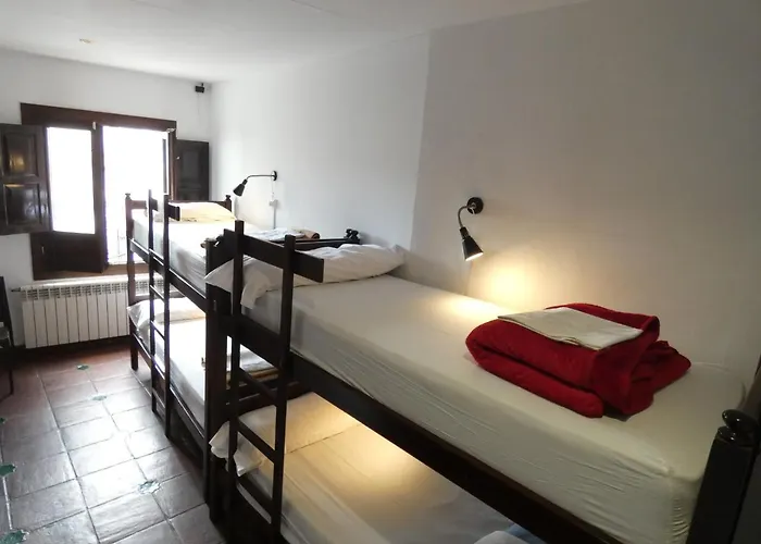 Hostel Oasis Backpackers'