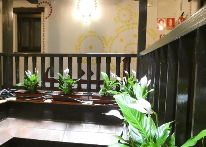 Oasis Backpackers' Hostel *