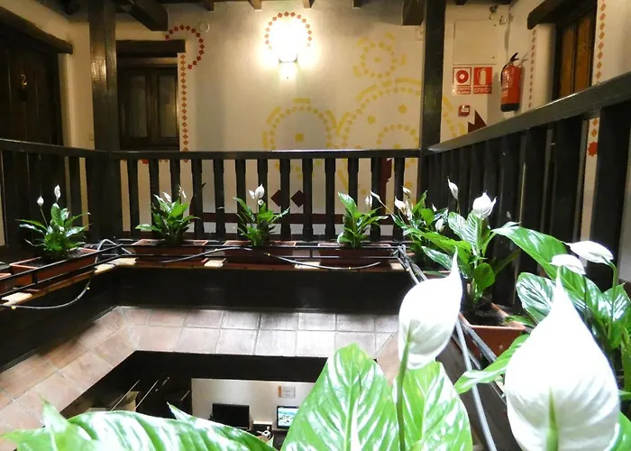 Hostel Oasis Backpackers'