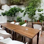 Oasis Backpackers' Hostel Granada