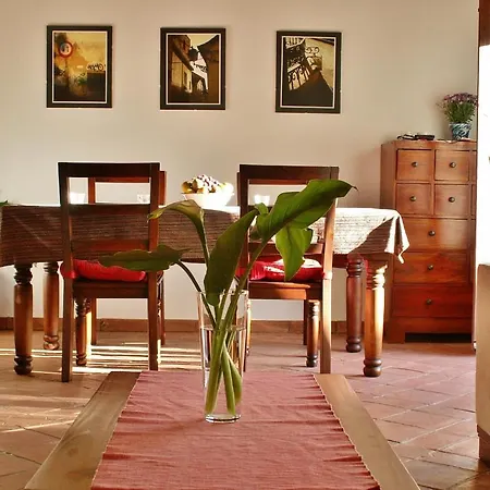 Hostal Oasis Backpackers' Granada