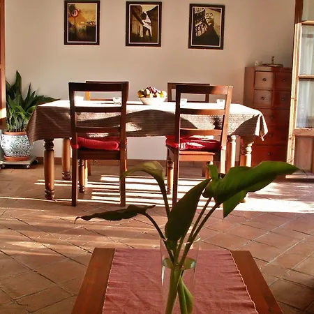 Hostal Oasis Backpackers' *
