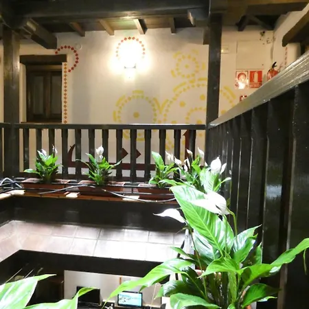 Oasis Backpackers' Hostal *